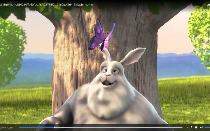 Popcorn Time app window playing the open film Big Buck Bunny